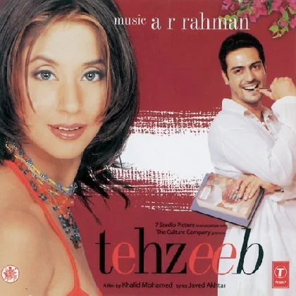 Tehzeeb (2003) Mp3 Songs