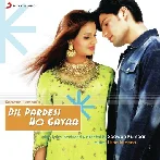 Dil Pardesi Ho Gayaa (2003) Mp3 Songs