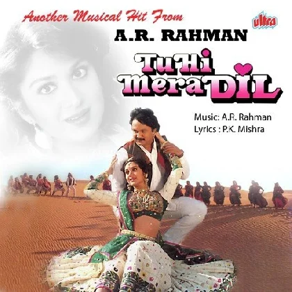 Tu Hi Mera Dil (1996) Mp3 Songs