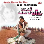 Anjali Anjali (Tu Hi Mera Dil)