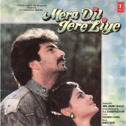 Mera Dil Tere Liye (Duet) - Mera Dil Tere Liye