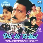 Dil Hi To Hai (1992) Mp3 Songs