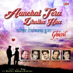 Ae Sanam Tum Hi (Aanchal Tera Dhalka Hua)