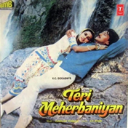 Dil Bekraar Tha Dil Bekraar Hai (Teri Meherbaniyan)