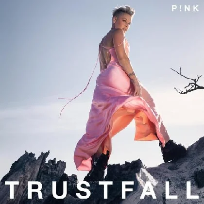 P!nk - Lost Cause