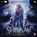 Raatein (Shivaay)