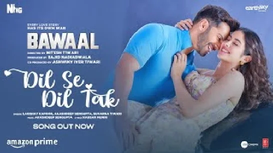 Dil Se Dil Tak (Bawaal) Video Song