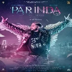 Parinda Paar Geyaa (2023) Punjabi Movie Mp3 Songs