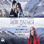 Meri Zindagi - Tulsi Kumar 720p HD