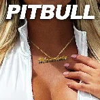 Pitbull - Mamasota