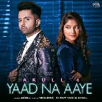 Yaad Na Aaye - Akull