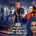 Na Javee - Rahat Fateh Ali Khan