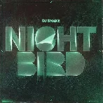 DJ Snake - Nightbird