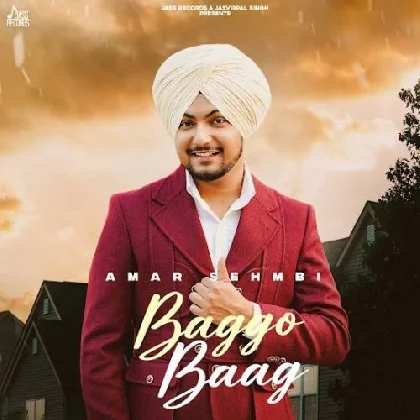 Baggo Baag - Amar Sehmbi