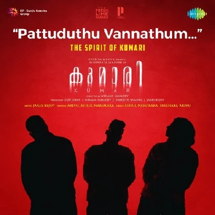 Pattuduthu Vannathum (Kumari)