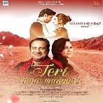 Teri Khair Mangaan - Rahat Fateh Ali Khan