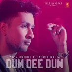 Dum Dee Dum - Zack Knight