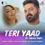 Teri Yaad - Pawan Singh