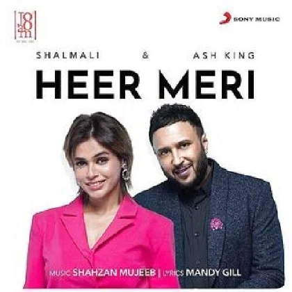 Heer Meri - Ash King