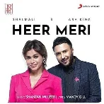 Heer Meri - Ash King