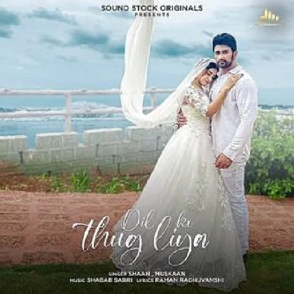 Dil Ko Thug Liya - Shaan