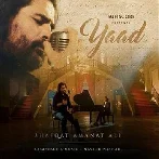 Yaad - Shafqat Amanat Ali