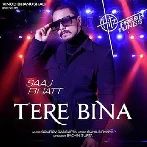 Tere Bina - Saaj Bhatt