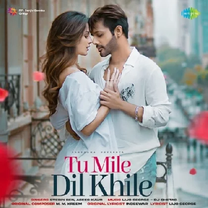 Tu Mile Dil Khile - Stebin Ben