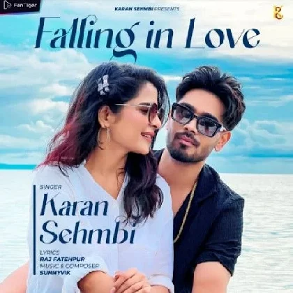 Falling In Love - Karan Sehmbi