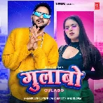 Gulabo - MD Desi Rockstar