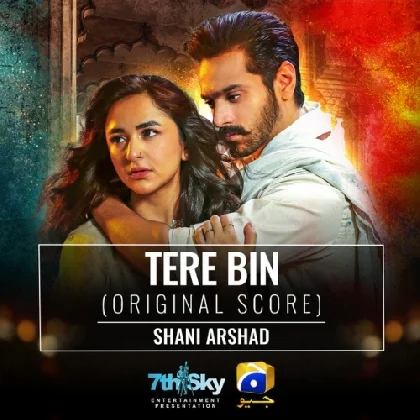 Tere Bin Ost - Shani Arshad