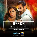 Tere Bin Ost - Shani Arshad