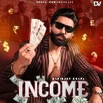 Income - Barinder Dhapai