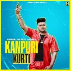 Kanpuri Kurti - Nawab