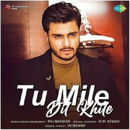 Tu Mile Dil Khile - Raj Barman