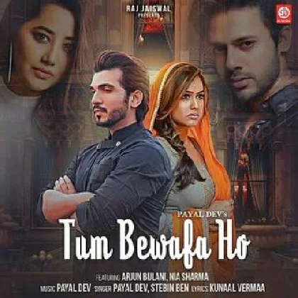 Tum Bewafa Ho - Stebin Ben