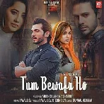 Tum Bewafa Ho - Stebin Ben