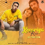 Kesariya (Remix) - DJ Reaction