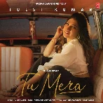 Tu Mera - Tulsi Kumar