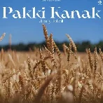 Pakki Kanak - Jenny Johal