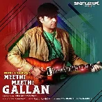 Meethi Meethi Gallan - Mohit Chauhan