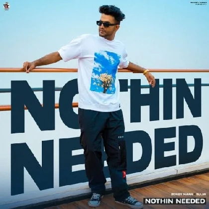 Nothin Needed - Romey Maan