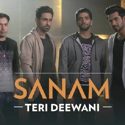 Teri Deewani - Sanam