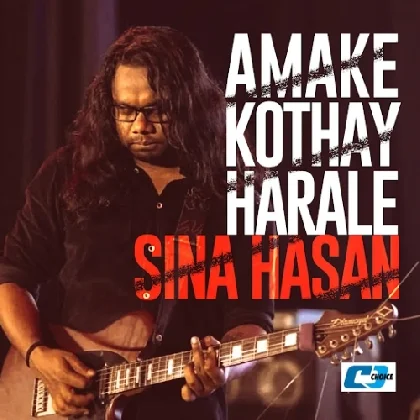 Amake Kothay Harale - Sina Hasan