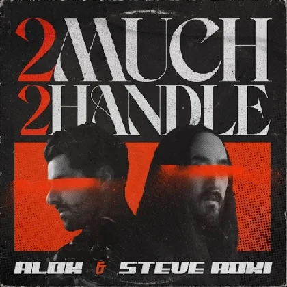 Alok, Steve Aoki - 2 Much 2 Handle