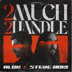 Alok, Steve Aoki - 2 Much 2 Handle