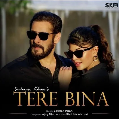 Tere Bina - Salman Khan