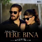 Tere Bina - Salman Khan