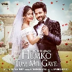 Humko Tum Mil Gaye - Vishal Mishra