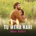 Tu Mera Nahi - Amaal Mallik